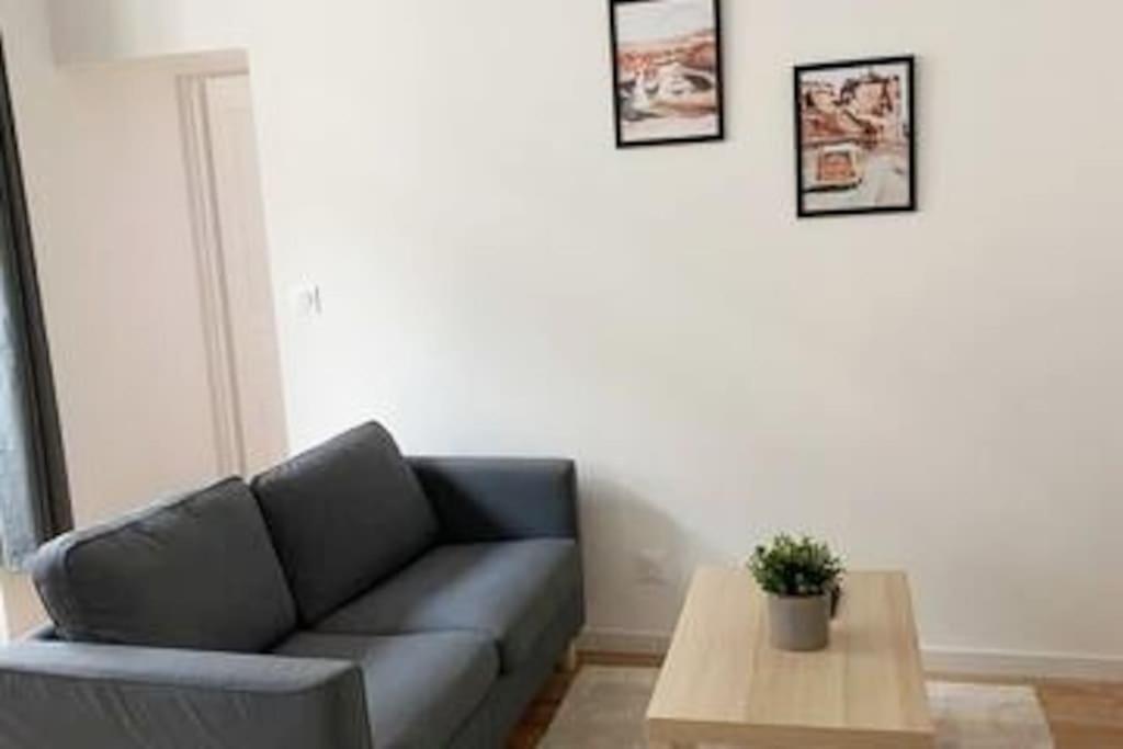 Appartement Coup De Coeur En Centre-Ville 奥尔良 外观 照片