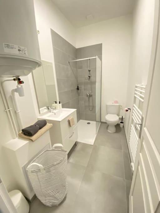 Appartement Coup De Coeur En Centre-Ville 奥尔良 外观 照片