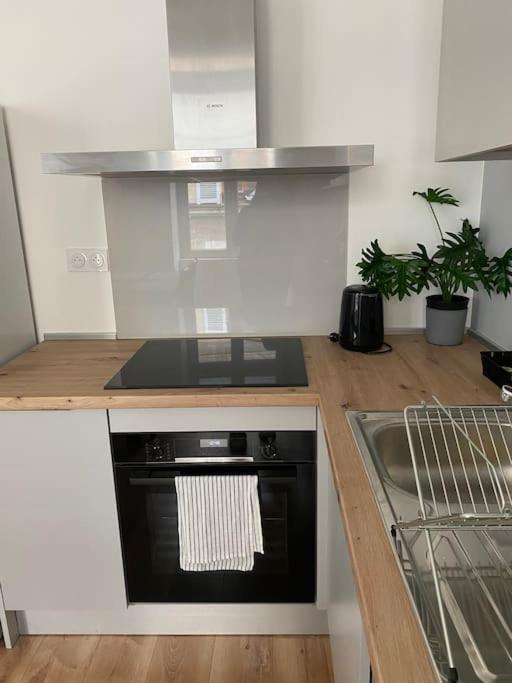 Appartement Coup De Coeur En Centre-Ville 奥尔良 外观 照片