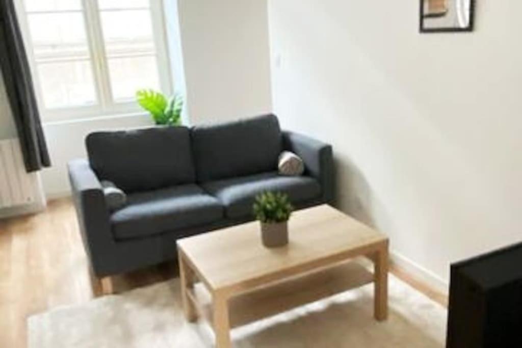 Appartement Coup De Coeur En Centre-Ville 奥尔良 外观 照片